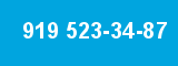 919 523-34-87 919 523-34-87